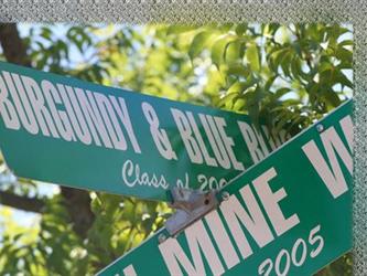 Street sign that reads Burgundy & Blue Blvd